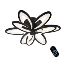 Потолочная люстра Florinas OML-49317-87 Omnilux