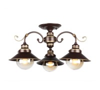 Потолочная люстра Fontelo OML-50407-03 Omnilux