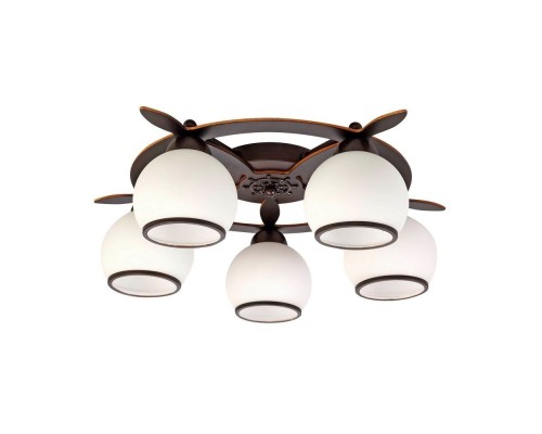 Потолочная люстра Fronteira OML-50507-05 Omnilux