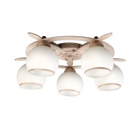 Потолочная люстра Fronteira OML-50517-05 Omnilux
