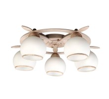 Потолочная люстра Fronteira OML-50517-05 Omnilux