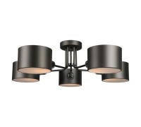 Потолочная люстра Liser OML-54507-05 Omnilux