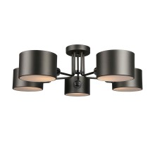 Потолочная люстра Liser OML-54507-05 Omnilux