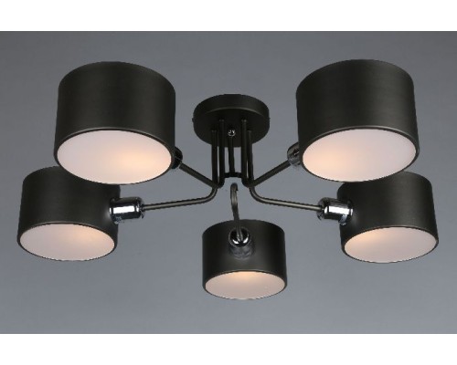 Потолочная люстра Liser OML-54507-05 Omnilux