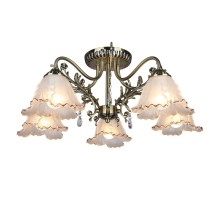 Потолочная люстра Petrara OML-54807-05 Omnilux