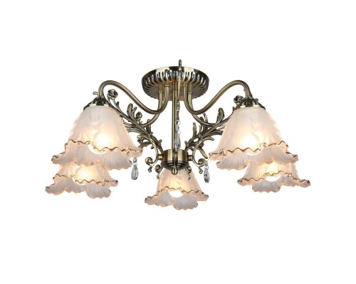 Потолочная люстра Petrara OML-54807-05 Omnilux