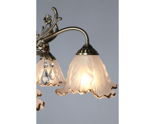 Потолочная люстра Petrara OML-54807-05 Omnilux