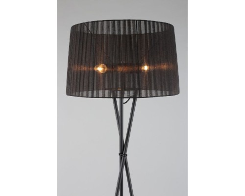 Торшер Fascia OML-62915-03 Omnilux