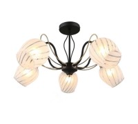 Потолочная люстра 655 OML-65507-05 Omnilux