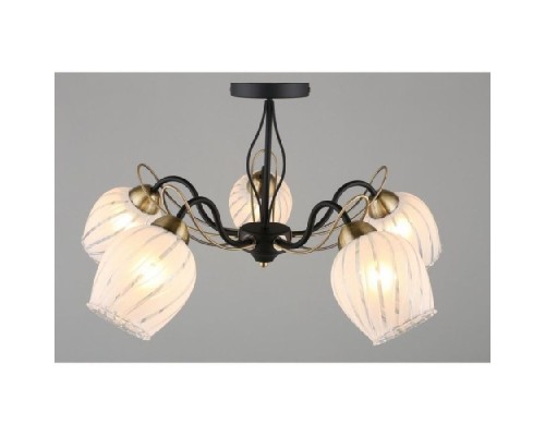 Потолочная люстра 655 OML-65507-05 Omnilux