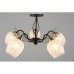 Потолочная люстра 655 OML-65507-05 Omnilux