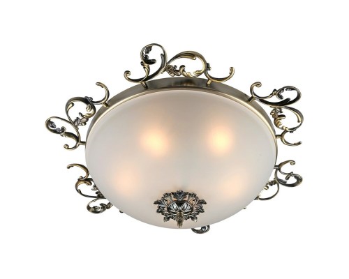 Потолочный светильник Ragusa OML-76507-05 Omnilux