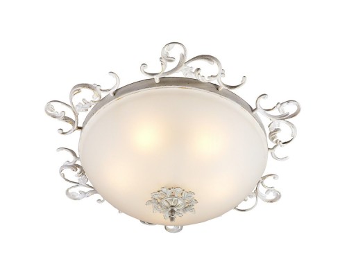 Потолочный светильник Ragusa OML-76517-05 Omnilux