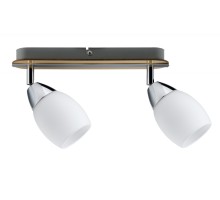 Спот Wolba 60073 Paulmann