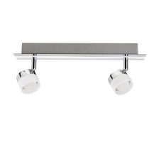 Спот Stage 60245 Paulmann