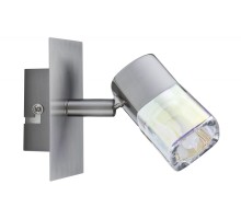 Спот Hoya 66029 Paulmann