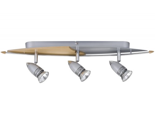 Спот Hilke 66213 Paulmann