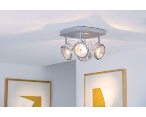 Спот Wasabi 66458 Paulmann