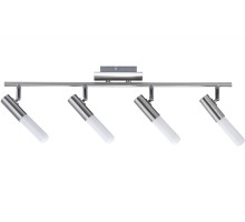 Спот Phorus 66581 Paulmann