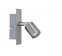 Спот Georgia 66706 Paulmann