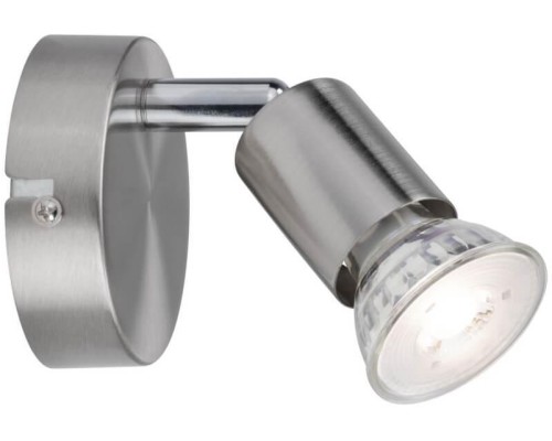 Спот Carolina 66743 Paulmann