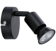 Спот Carolina 66755 Paulmann