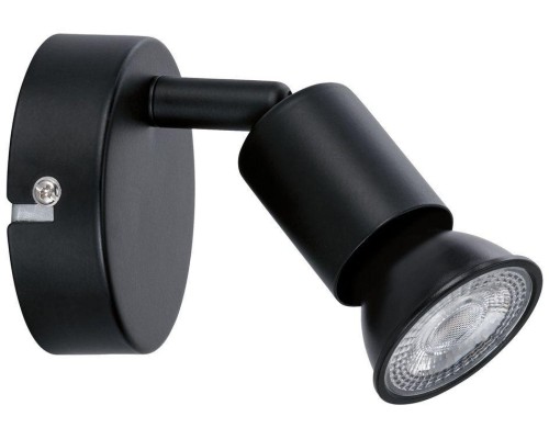 Спот Carolina 66755 Paulmann