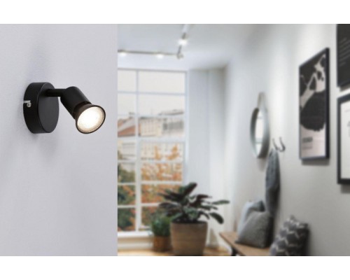 Спот Carolina 66755 Paulmann