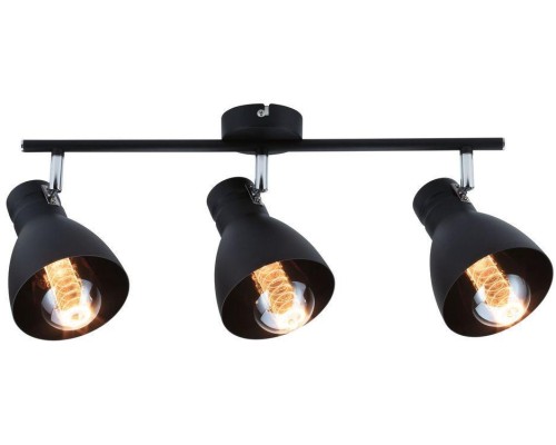 Спот Davy 66761 Paulmann