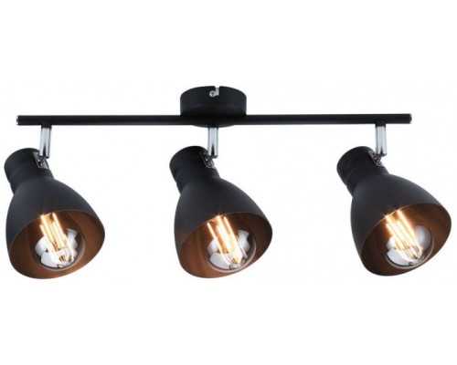 Спот Davy 66761 Paulmann