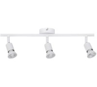 Спот Carolina 66765 Paulmann