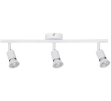 Спот Carolina 66765 Paulmann