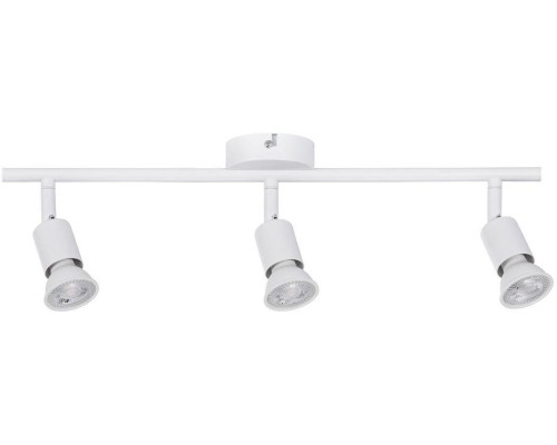 Спот Carolina 66765 Paulmann