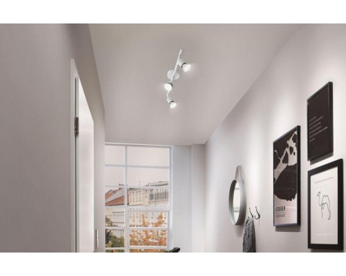 Спот Carolina 66765 Paulmann