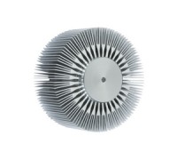 Настенный светильник Sunray 70160 Paulmann