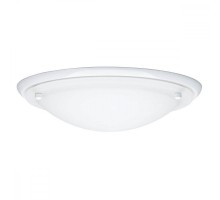 Настенно-потолочный светильник Arctus 70343 Paulmann