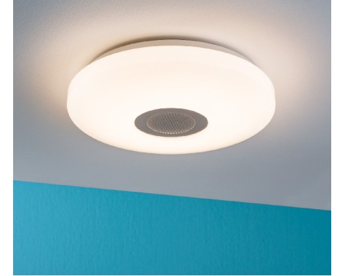 Потолочный светильник Bluet 70622 Paulmann
