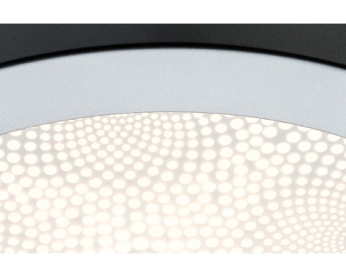 Настенно-потолочный светильник Ivy 70687 Paulmann