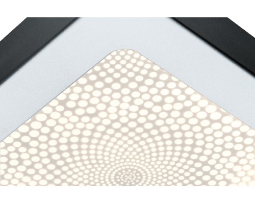 Настенно-потолочный светильник Ivy 70688 Paulmann