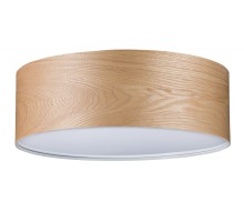 Потолочный светильник Alva 79650 Paulmann