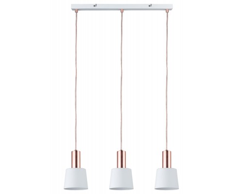 Подвесной светильник Haldar  79657 Paulmann