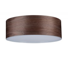 Потолочный светильник  79687 Paulmann