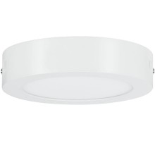 Потолочный светильник Carpo 79790 Paulmann