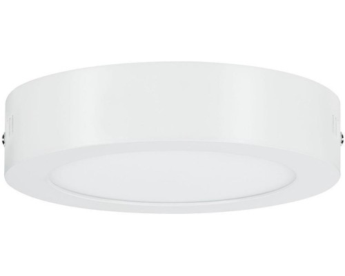 Потолочный светильник Carpo 79790 Paulmann