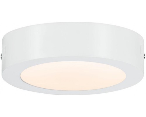 Потолочный светильник Carpo 79790 Paulmann