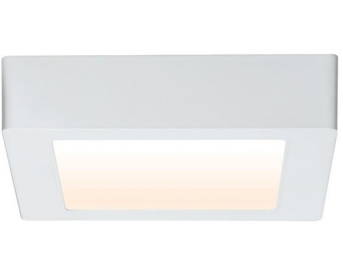 Потолочный светильник Carpo 79792 Paulmann