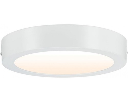 Потолочный светильник Carpo 79795 Paulmann