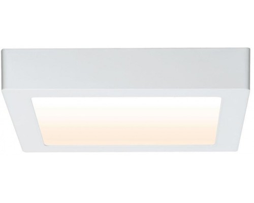 Потолочный светильник Carpo 79796 Paulmann