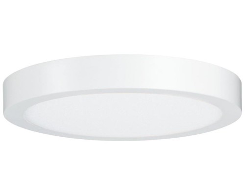 Потолочный светильник Carpo 79799 Paulmann