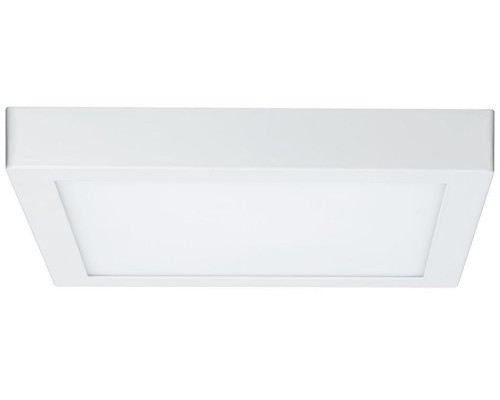 Потолочный светильник Carpo 79801 Paulmann